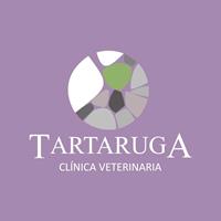 Logotipo Tartaruga