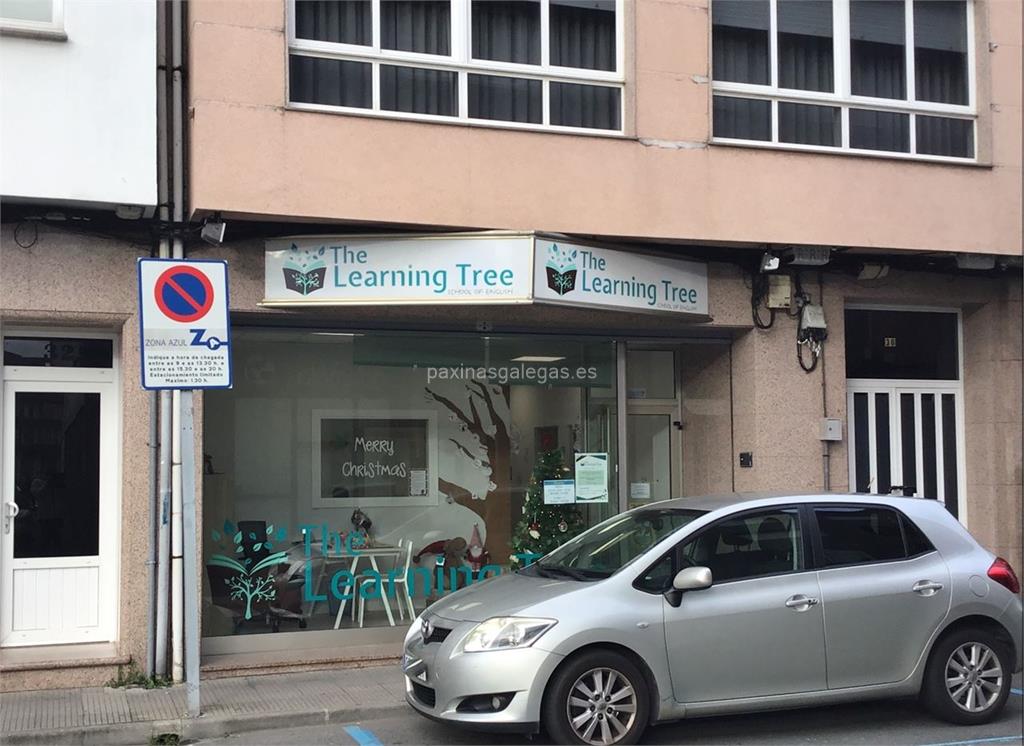imagen principal The Learning Tree