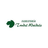 Logotipo Trudel Waidele