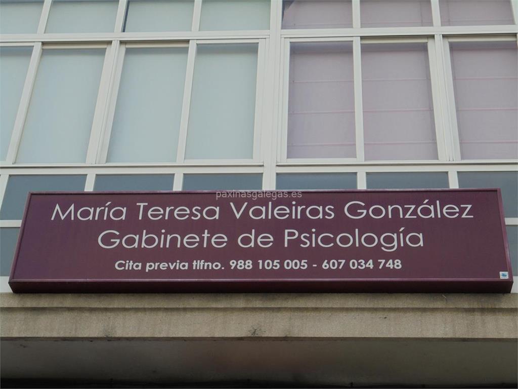 imagen principal Valeiras González, María Teresa 