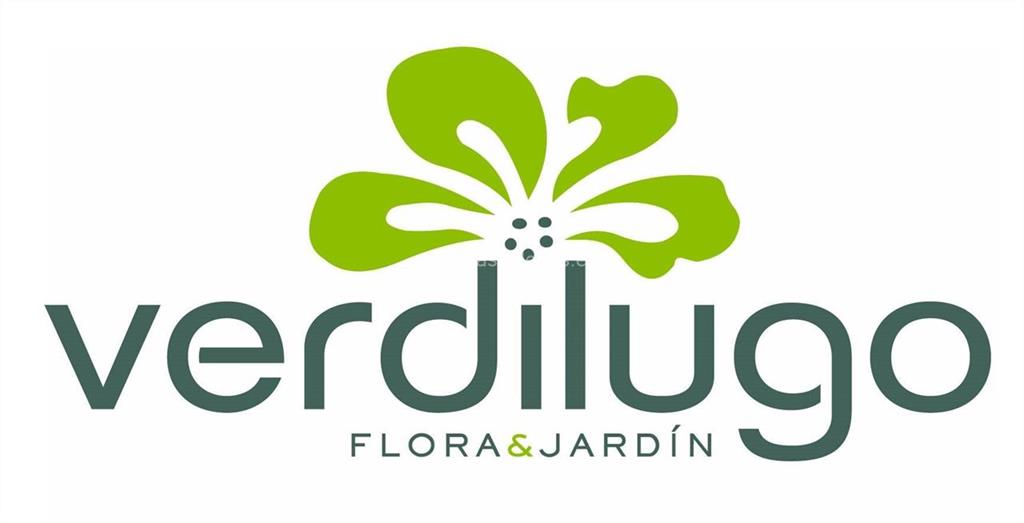 logotipo Verdilugo