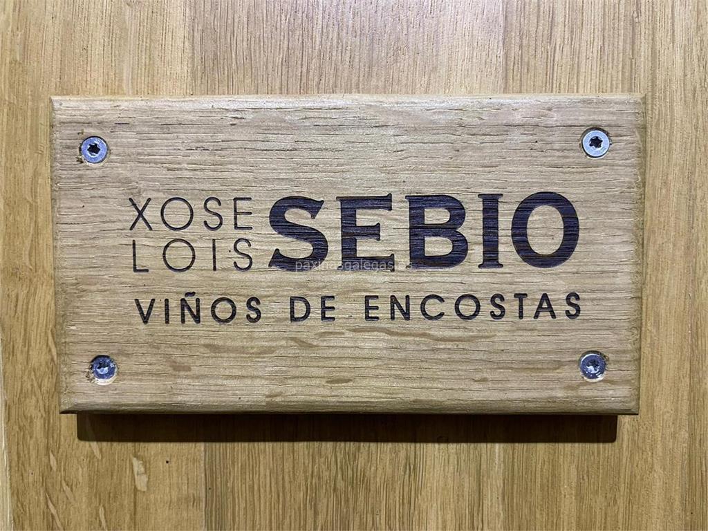 imagen principal Viños de Encostas  (XL Sebio / Godello, Treixadura y Albariño)
