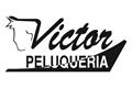 logotipo Víctor Peluquería