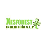 Logotipo Xesforest Ingeniería S.L.P