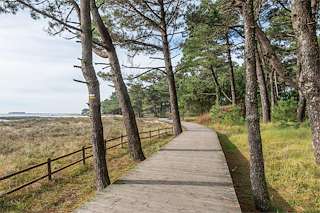 Fechas, información, programa, cartel, imágenes, mapa y ubicación de A Lamiña  en  A Guarda