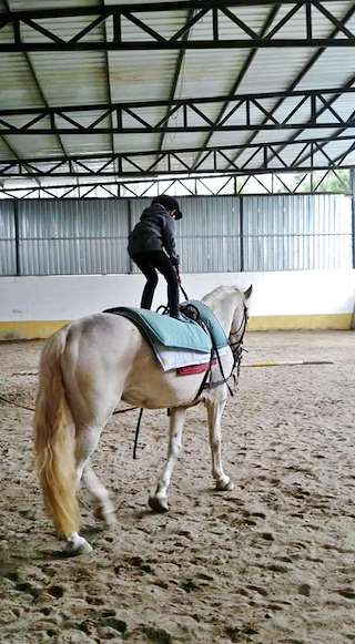 Fechas, información, programa, cartel, imágenes, mapa y ubicación de Abraín  en  Gondomar