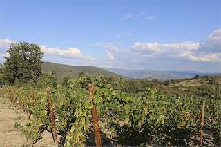 Fechas, información, programa, cartel, imágenes, mapa y ubicación de Adega A Corga  en  A Pobra de Trives