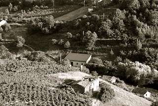 Fechas, información, programa, cartel, imágenes, mapa y ubicación de Adega Cachín  en  A Teixeira