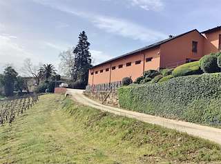 Fechas, información, programa, cartel, imágenes, mapa y ubicación de Adega Quinta da Peza  en  A Rúa