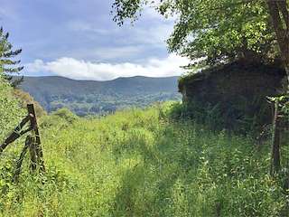 Fechas, información, programa, cartel, imágenes, mapa y ubicación de Adegas de Sanformar  en  Negueira de Muñiz