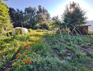 Fechas, información, programa, cartel, imágenes, mapa y ubicación de Agro Cultura Espaço Vivo S. Coop. Galega  en  Redondela