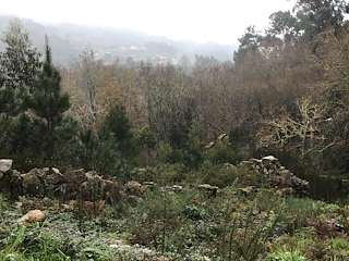 Fechas, información, programa, cartel, imágenes, mapa y ubicación de Aldea Abandonada de Trabazos (2022)  en  Arbo