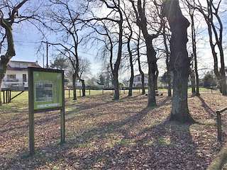 Fechas, información, programa, cartel, imágenes, mapa y ubicación de Área Recreativa A Carballeira Da Chan  en  Ponte Caldelas