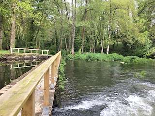 Fechas, información, programa, cartel, imágenes, mapa y ubicación de Área Recreativa de A Riboira  en  A Pastoriza