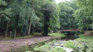 Fechas, información, programa, cartel, imágenes, mapa y ubicación de Área Recreativa de Reboredo  en  Oza Cesuras