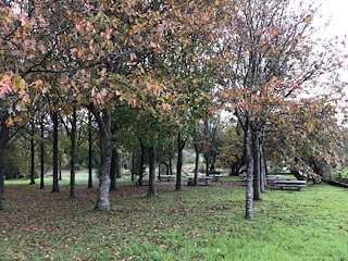 Fechas, información, programa, cartel, imágenes, mapa y ubicación de Área Recreativa de San Miguel  en  O Rosal