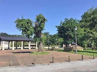 Fechas, información, programa, cartel, imágenes, mapa y ubicación de Área Recreativa de Sobrado de Picato  en  Baralla