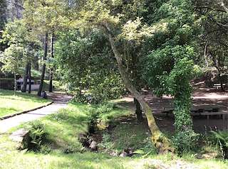 Fechas, información, programa, cartel, imágenes, mapa y ubicación de Área Recreativa do Pouso  en  Vigo