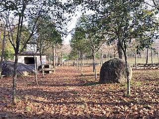 Fechas, información, programa, cartel, imágenes, mapa y ubicación de Área Recreativa Penedo Redondo  en  Salceda de Caselas