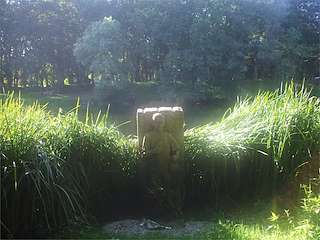 Fechas, información, programa, cartel, imágenes, mapa y ubicación de Área Recreativa y Playa Fluvial de Chaián  en  Trazo