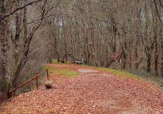 Fechas, información, programa, cartel, imágenes, mapa y ubicación de As Gándaras de Budiño (2021)  en  O Porriño