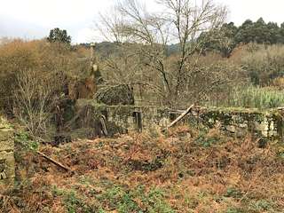 Fechas, información, programa, cartel, imágenes, mapa y ubicación de Aserradero de Ponte Cabaleiros (2022)  en  Arbo