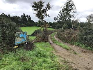Fechas, información, programa, cartel, imágenes, mapa y ubicación de Banco do Cuco  en  Taboada