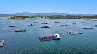 Fechas, información, programa, cartel, imágenes, mapa y ubicación de Barcos de Galicia  en  O Grove