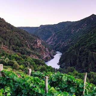 Fechas, información, programa, cartel, imágenes, mapa y ubicación de Bodega Alma das Donas  en  Pantón