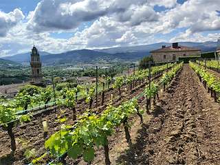 Fechas, información, programa, cartel, imágenes, mapa y ubicación de Bodega Casal de Armán  en  Ribadavia