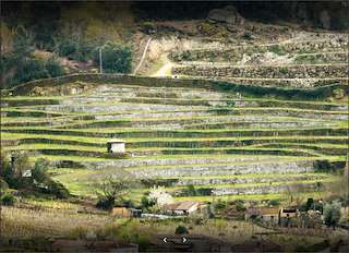 Fechas, información, programa, cartel, imágenes, mapa y ubicación de Bodega Coto de Gomariz  en  Leiro