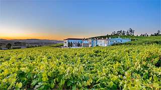 Fechas, información, programa, cartel, imágenes, mapa y ubicación de Bodega Granbazán  en  Vilanova de Arousa