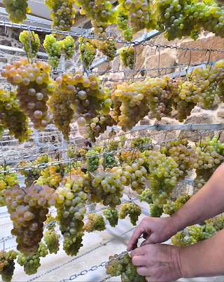 Fechas, información, programa, cartel, imágenes, mapa y ubicación de Bodega Secretos de Familia  en  Cenlle