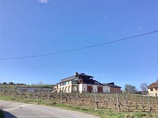 Fechas, información, programa, cartel, imágenes, mapa y ubicación de Bodega Terriña  en  Petín