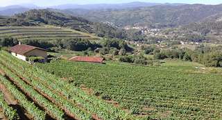 Fechas, información, programa, cartel, imágenes, mapa y ubicación de Bodega Vilerma  en  Leiro