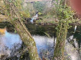 Fechas, información, programa, cartel, imágenes, mapa y ubicación de Boots & Grapes Tours  en  Poio