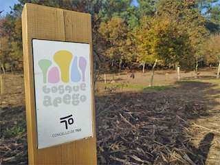 Fechas, información, programa, cartel, imágenes, mapa y ubicación de Bosque Apego  en  Teo