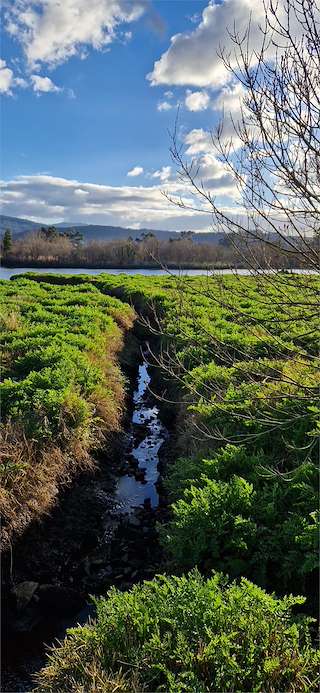 Fechas, información, programa, cartel, imágenes, mapa y ubicación de Brañas de Laiño (2023)  en  Dodro