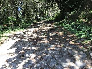 Fechas, información, programa, cartel, imágenes, mapa y ubicación de Calzada Romana de Meiro (2022)  en  Bueu