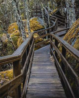 Fechas, información, programa, cartel, imágenes, mapa y ubicación de Cántara da Moura (2023)  en  A Veiga