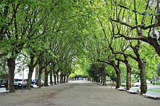 Fechas, información, programa, cartel, imágenes, mapa y ubicación de Cantón de Molíns (2022)  en  Ferrol