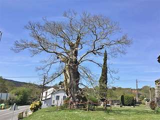 Fechas, información, programa, cartel, imágenes, mapa y ubicación de Capela do Castiñeiro  en  Begonte