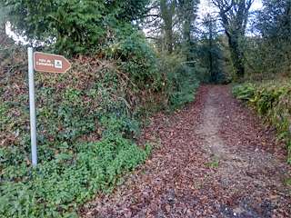 Fechas, información, programa, cartel, imágenes, mapa y ubicación de Carballeira da Casa do Gado  (2024)  en  Sobrado