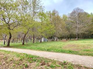 Fechas, información, programa, cartel, imágenes, mapa y ubicación de Carballeira de Rodo  en  Lalín