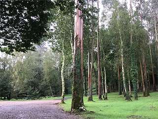 Fechas, información, programa, cartel, imágenes, mapa y ubicación de Carballeira de Velar  en  Zas