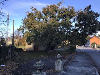 Fechas, información, programa, cartel, imágenes, mapa y ubicación de Carballo de Santa Margarida   en  Pontevedra