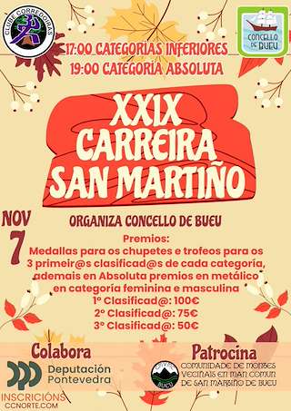 XXIX Carreira Pedestre de San Martiño