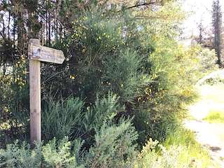 Fechas, información, programa, cartel, imágenes, mapa y ubicación de Cascada Pozo da Ferrería  en  Baleira