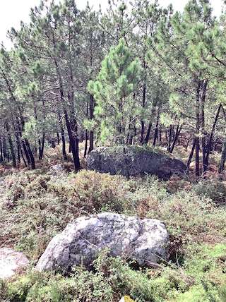 Fechas, información, programa, cartel, imágenes, mapa y ubicación de Castro da Siradella  en  O Grove