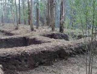 Fechas, información, programa, cartel, imágenes, mapa y ubicación de Castro de Torroso (2023)  en  Mos